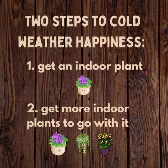 Meet your Posher, Erin - Picture 15 of 16